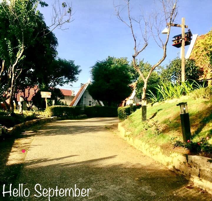 Vanda Garden Hill Albergue Dalat Exterior foto